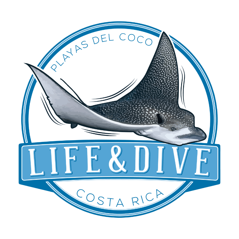 Life Dive Playas del Coco Scuba Diving in Costa Rica Life&Dive