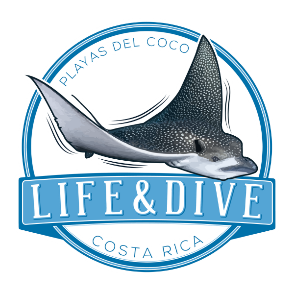 Life&Dive