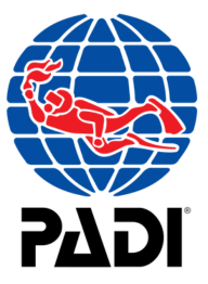 Padi Logo Transparente